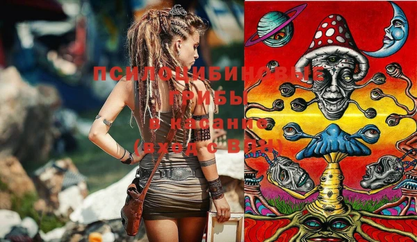 шишки Нефтегорск