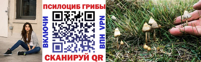 Купить  Чухлома  Галлюциногенные грибы Magic Shrooms 